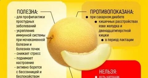 Дыня вещества