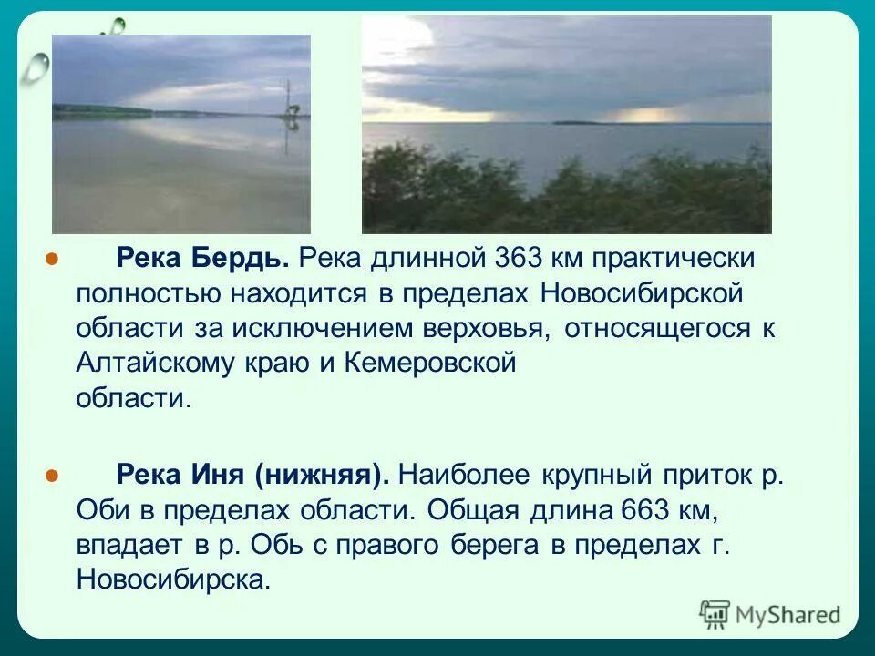 Обь какая природная зона. Доклад о реке Иня. Водоёмы Новосибирской области. Водоемы Новосибирской области презентация. Река Иня Новосибирской области.