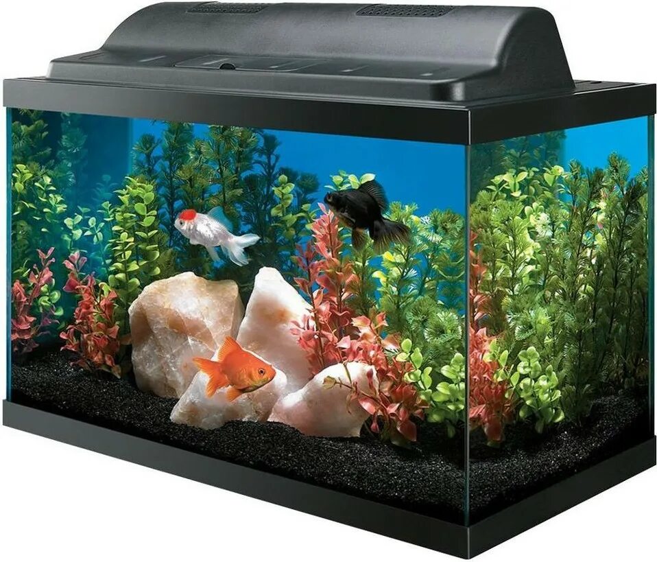 Аквариум aquarium. Аквариум (Fish Tank) 2009. Аквариум Tianrun AA-380f. Большой прямоугольный аквариум. Прямоугольный аквариум с рыбками.