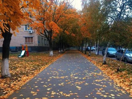 Погода в волгодонске на ноябрь