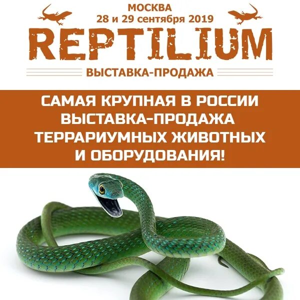 Рептилиум 2024 москва