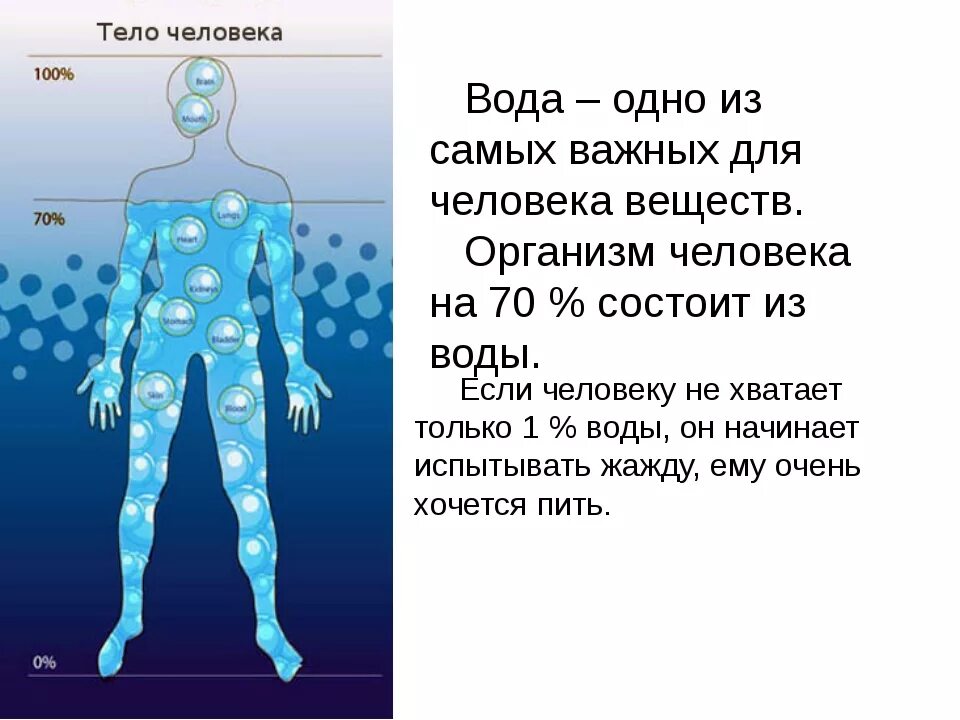 Человек состоит из воды. Организм человека состоит из воды. Вода и человек. Вода в человеческом организме. Есть ли в человеке вода