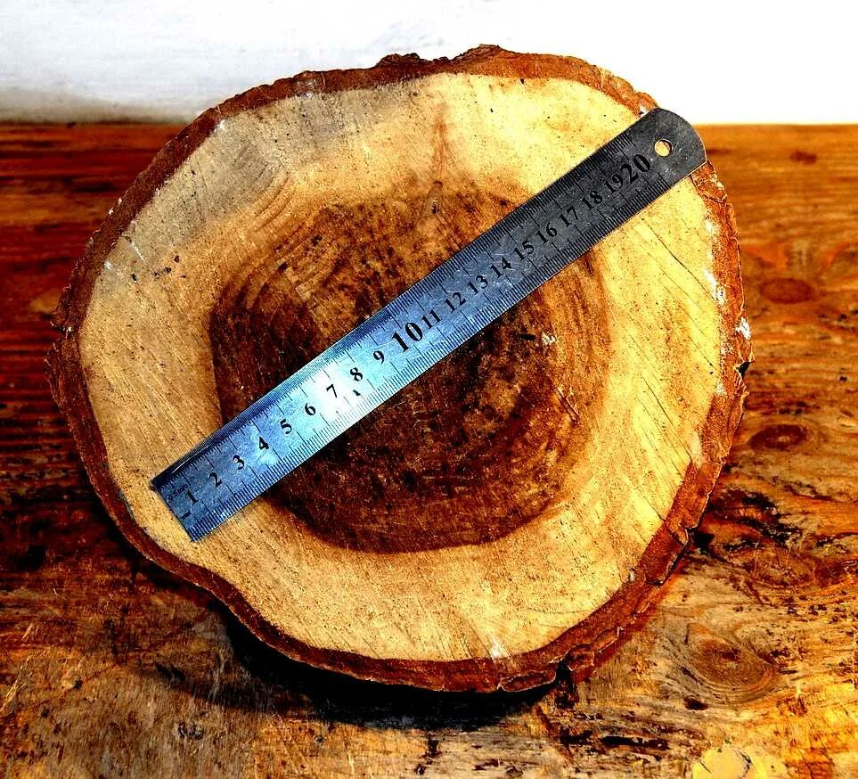 распил ореха. грецкий орех спил дерева. орех распил дерева. слэб кедр карагач. распил ореха.