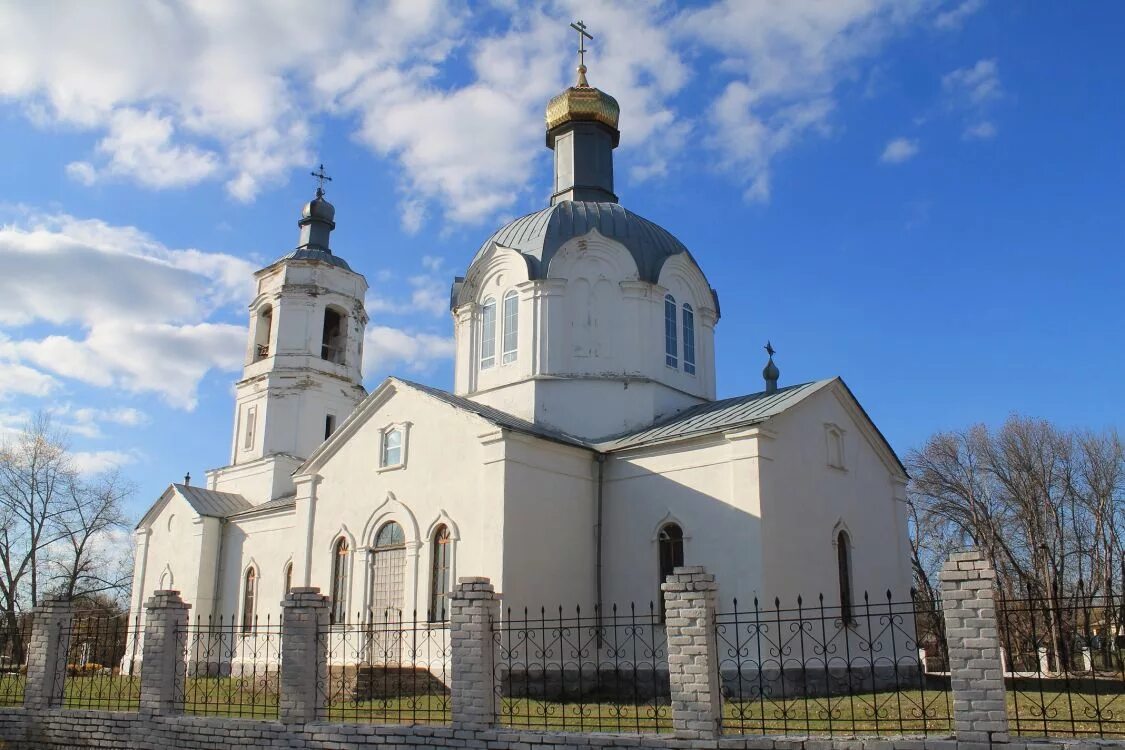 Погода в мамоне верхнемамонского. Село Нижний Мамон Верхнемамонского района Воронежской области. Храм в Нижнем Мамоне Воронежской области. Церковь Михаила Архангела Нижний Мамон.