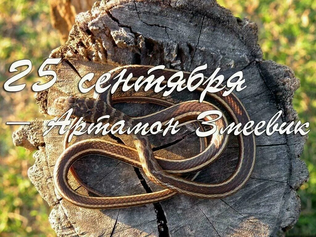 25 сентября октябрь. Народный календарь 25 сентября артамон змеевик. Открытки 25 сентября. 30 октября календарь. 25 сентября октябрь.