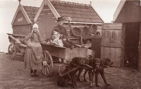 1890 год