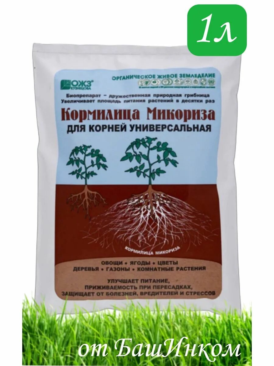 Кормилица микориза как использовать. Кормилица микориза как использовать