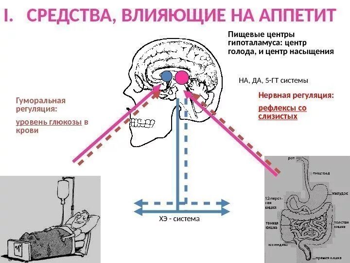 Схема механизм действия средств влияющих на аппетит. Средства, влияющие на аппетит, секреторную деятельность желудка.. Регуляция голода и насыщения. Препараты влияющие на аппетит.