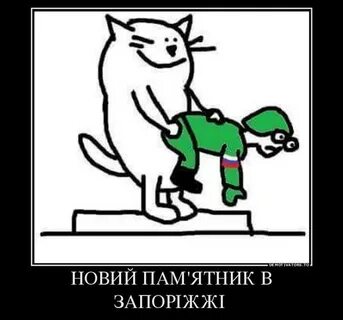 Кот пам пам