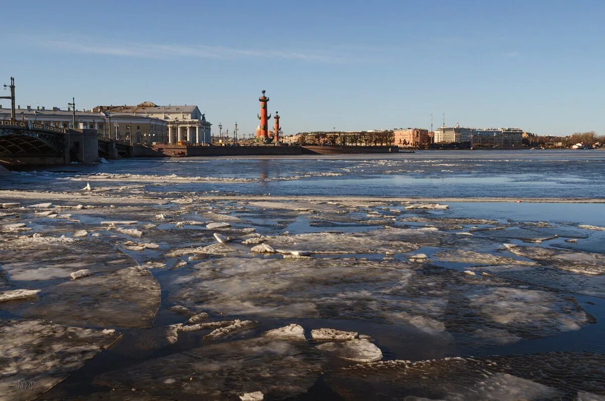 На реке неве на воде. Загрязнённая река Нева. Река Нева в Санкт-Петербурге загрязнение. Нева грязная река. Остров грязный Санкт-Петербург.