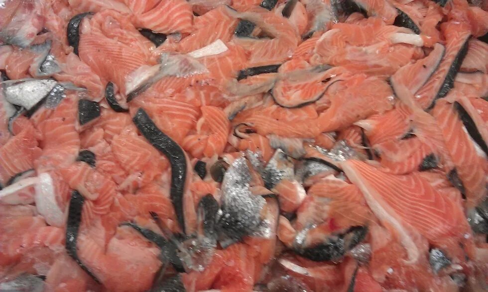 Обрезь семги. Обрезь форели. Обрезь форели. Обрезь форели. Обрезь форели купить.