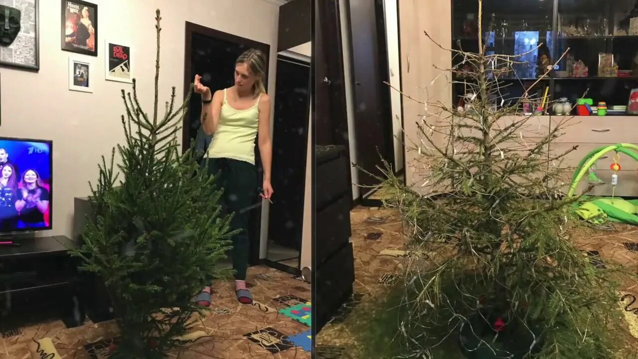Как ставить елку дома чтобы долго стояла