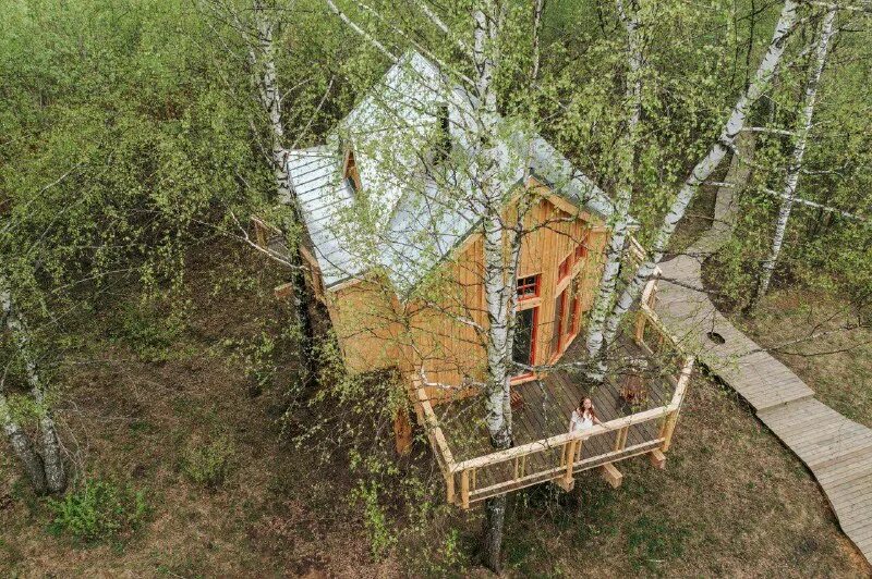 Лапочкино гнездо дом на дереве. Лапочкино гнездо тульская область. Домик на дереве лапочкино гнездо. Лапочкин дом на дереве. Лапочкино гнездо дом на дереве тульская обл.