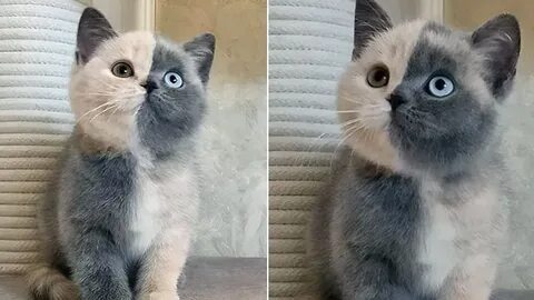 Они будто сквозят