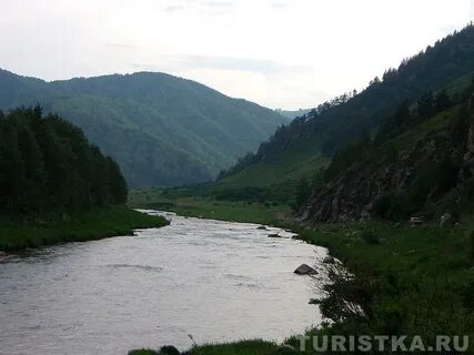 С солоновка алтайский край