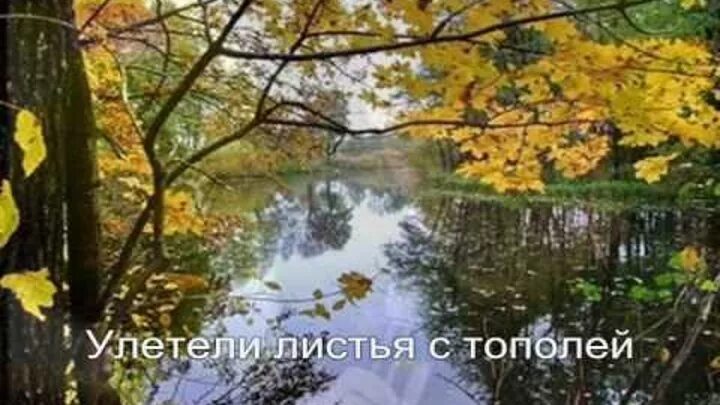 Улетели листья с тополей. Облетели листья с тополей. улетели листья стих николая рубцова. николай рубцов улетели листья стих.