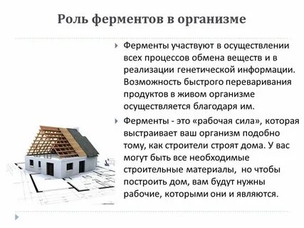 Какова роль ферментов в живых клетках