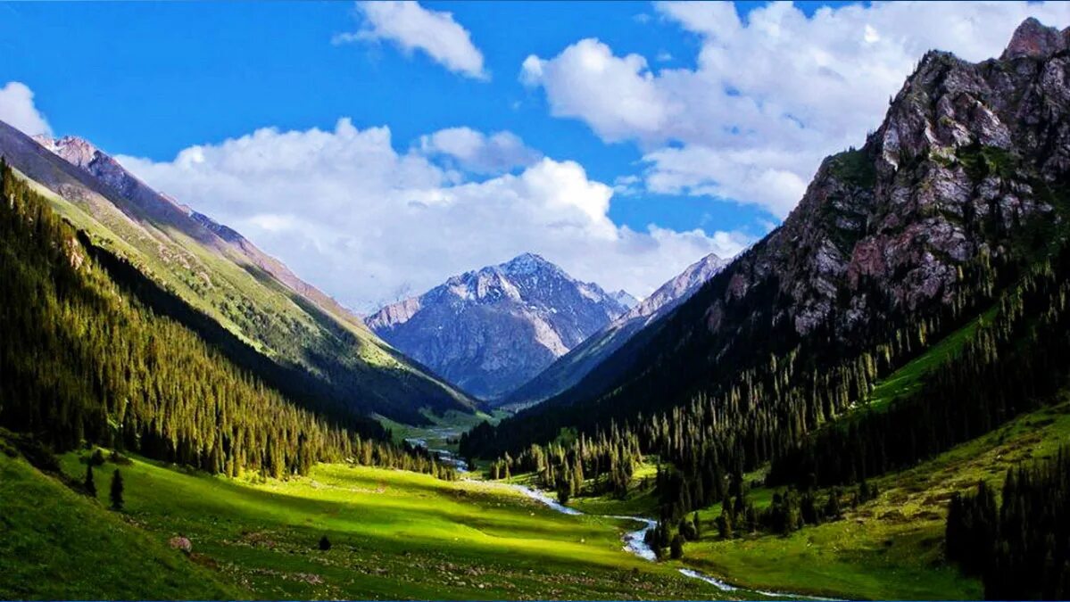 Киргизия в мае. Ущелье Алтын Арашан. Киргизия ущелье Арашан. Ущелье Алтын Арашан Киргизия. Киргизия горы Долина Арашан.