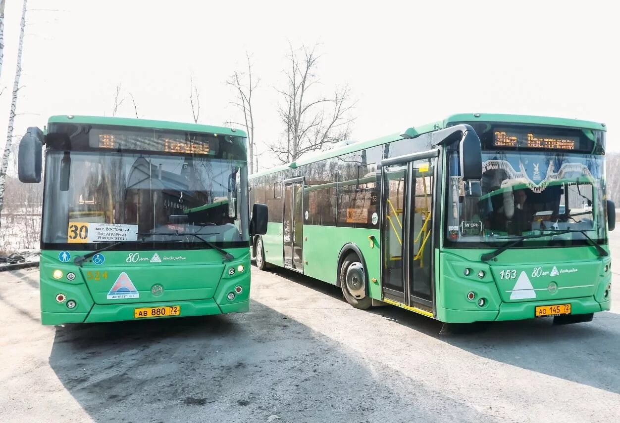 Автобусы Тюмень. Общественный транспорт Тюмень. 85 Автобус Тюмень. Тюменский транспорт автобусов. 3 автобус тюмень