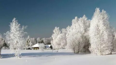 Зимняя 21