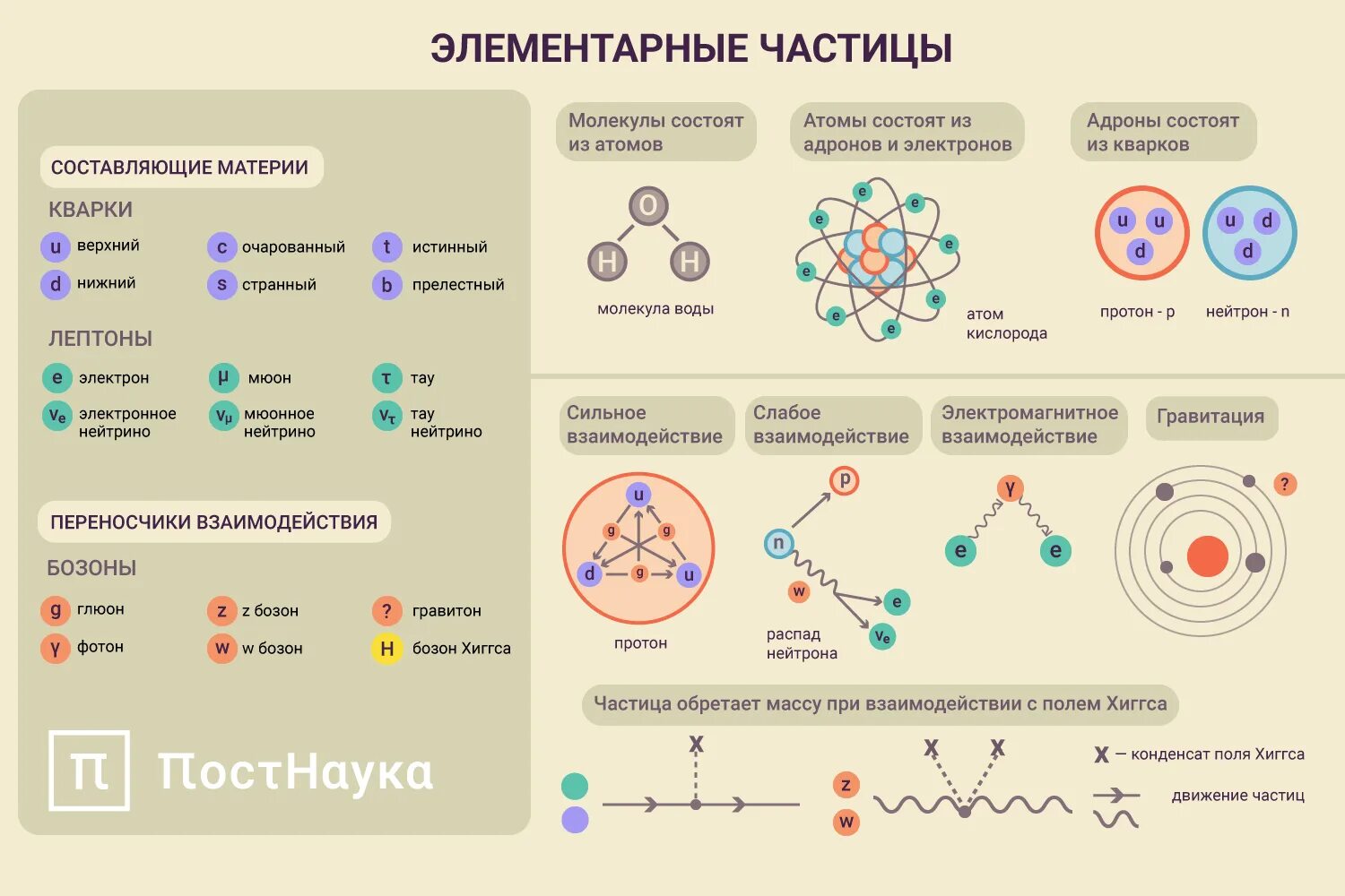 Элементарные частицы схема. .элементарные частицы, участвующие в построении вещества:. схема взаимодействия элементарных частиц. элементарные частицы для которых распад запрещен. стандартная модель элементарных частиц.