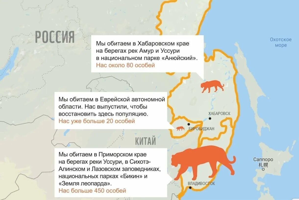 Самый крупный город дальнего востока. Место обитания Амурского тигра. Амурский тигр ареал обитания в России. Где живет Амурский тигр на карте. Ареал обитания Амурского тигра.