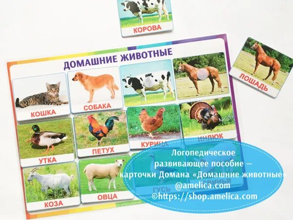 Карточки глена домана домашние животные. Обучающие карточки для детей животные. Карточки домашние животные для детей. Карточки домана корова. Обучающие карточки домашние животные и птицы.