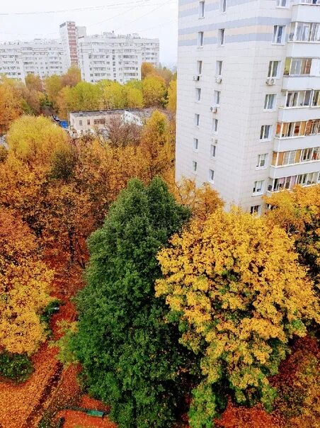 Юзао вк. Ул. Профсоюзная, вл.41 Золотая осень Москва ярмарка. Ул. Профсоюзная, вл. 41. Ул. Профсоюзная, вл.41 Золотая осень Москва ярмарка ворота. Владивосток фото ул Черемушки.