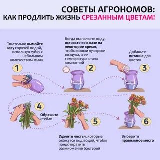 Как продлить жизнь человеку
