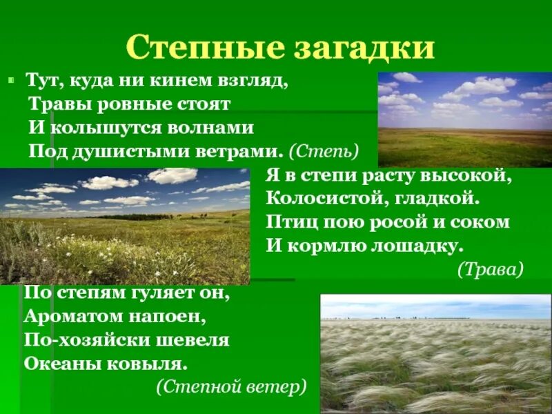 Как узнать результаты викторины родное оренбуржье. Загадки про степь. Загадки про зоны степей. Загадки про животных степи. Загадки про степь для детей.