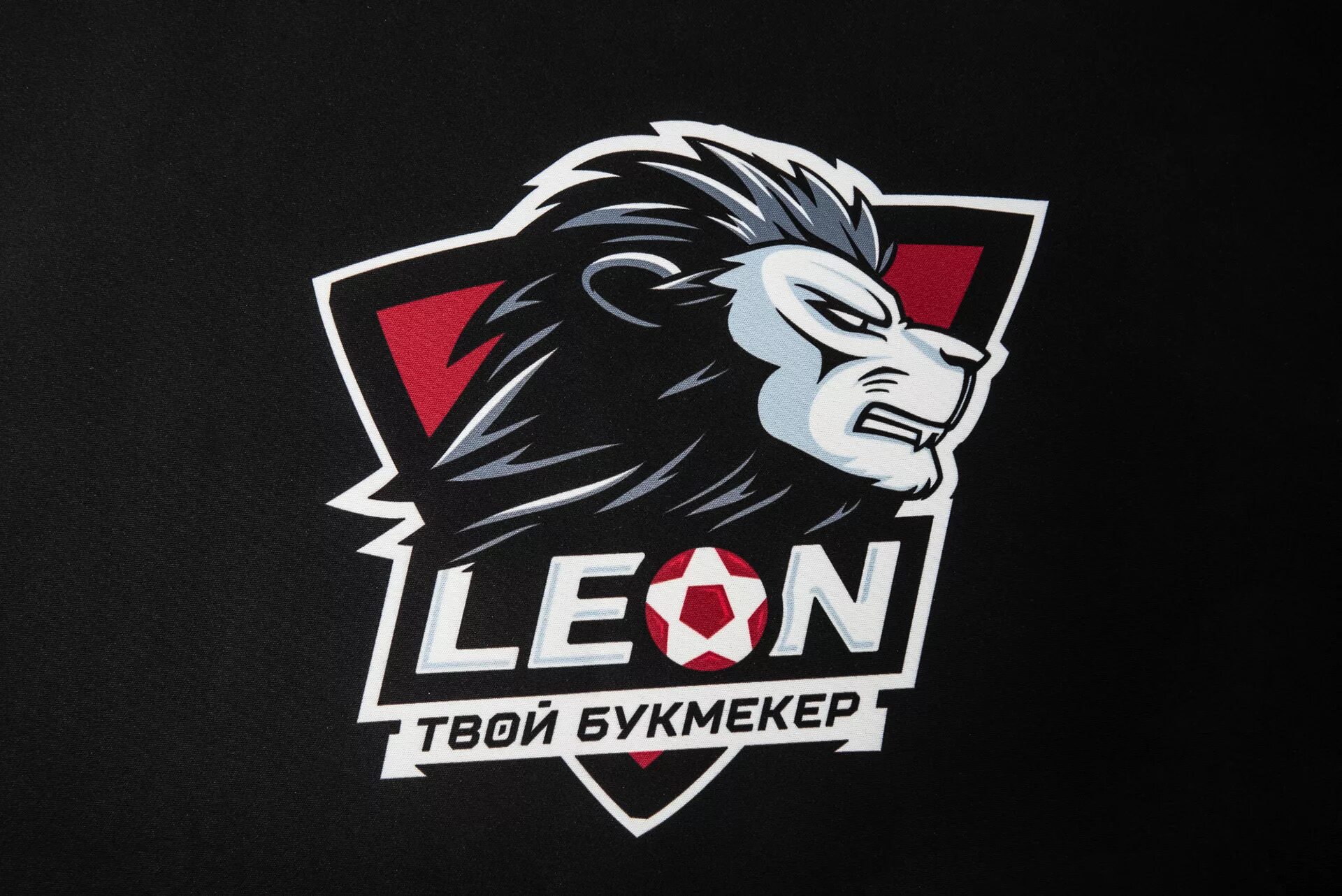 Leon net. Leon net