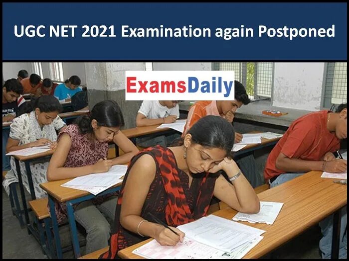 Net 2025