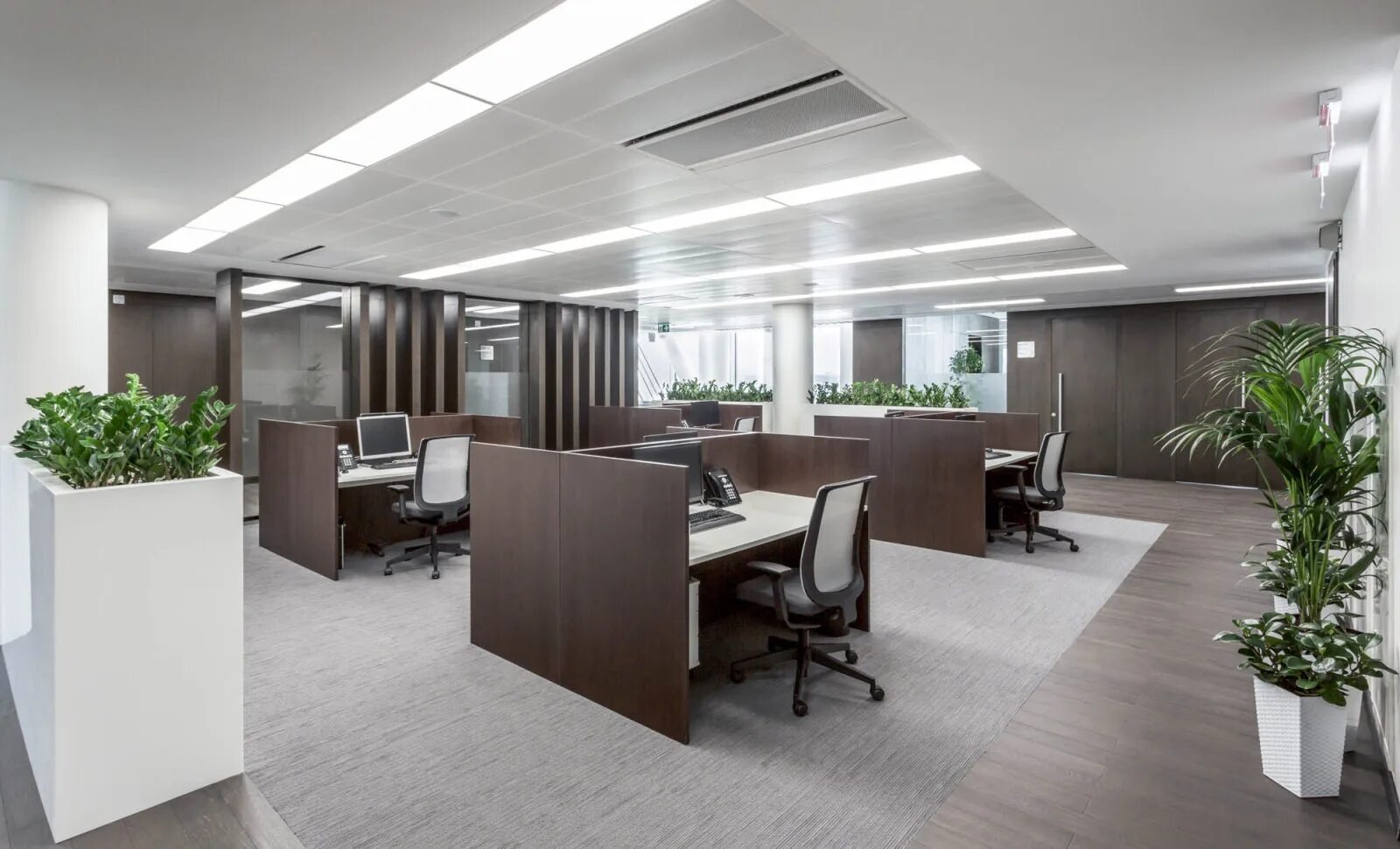 бизнес идеи. современный офис интерьер. бизнес кофейня. бизнес идея кондитерская. бизнес идеи для малого бизнеса.