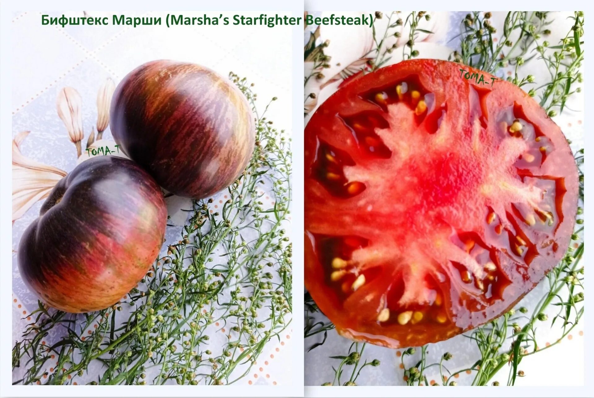 Томаты бифштекс марши описание сорта. Сад ц. Томаты бифштекс марши описание сорта. Томат биф 0,1г седек. Томаты бифштекс марши описание сорта.