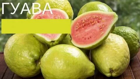 Гуава фрукт польза