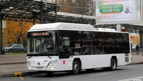 Автобус 105 спб