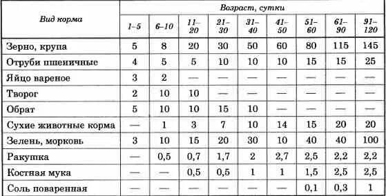 Чем кормить суточных индюшат. Рацион кормления индюков. Кормление индюков по возрастам. Таблица кормления индюков. Кальций борглюконат для бройлеров.