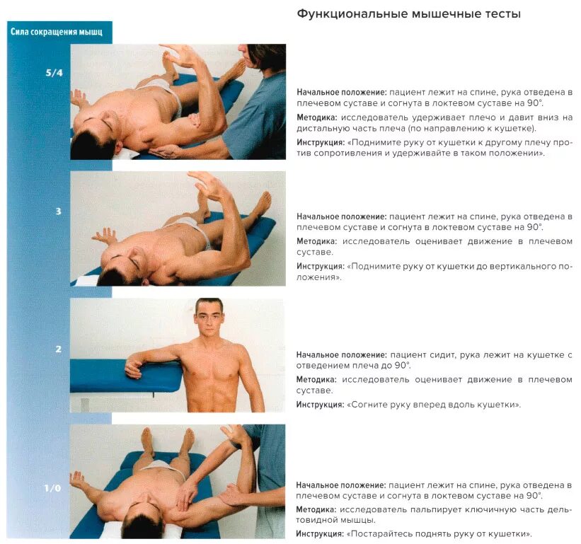 тест на сопротивление подостной мышцы (наружной ротации). функциональные мышечные тесты. ротация предплечья. тестирование мышц. тестирование мышц плеча.