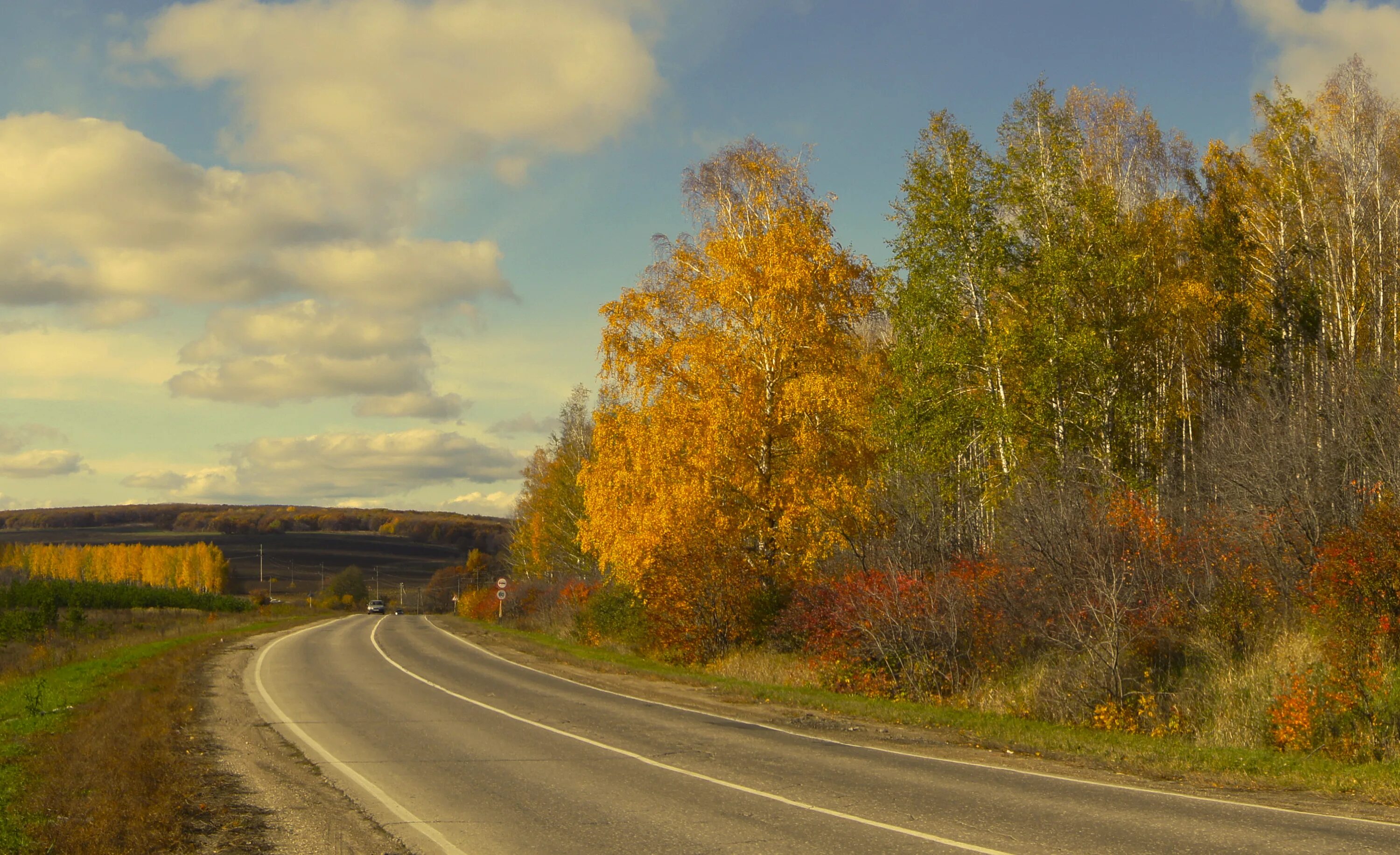 В родных местах дорога. Осенняя дорога. Дорога в осень. Осенняя Сельская дорога. Осенняя дорога уходящая в даль.