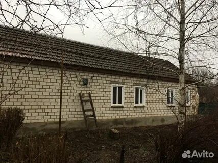 Авито новоселицкое