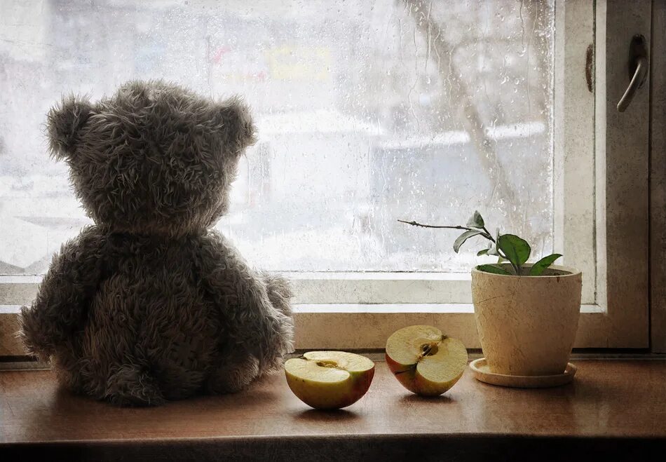 Скоро в отпуск. Одинокий кот. Полдня жду. Жду звонка прикол. Хорошего отдыха.