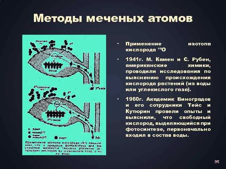 Картинки МЕТОД ИЗУЧЕНИЯ МЕЧЕНЫХ АТОМОВ