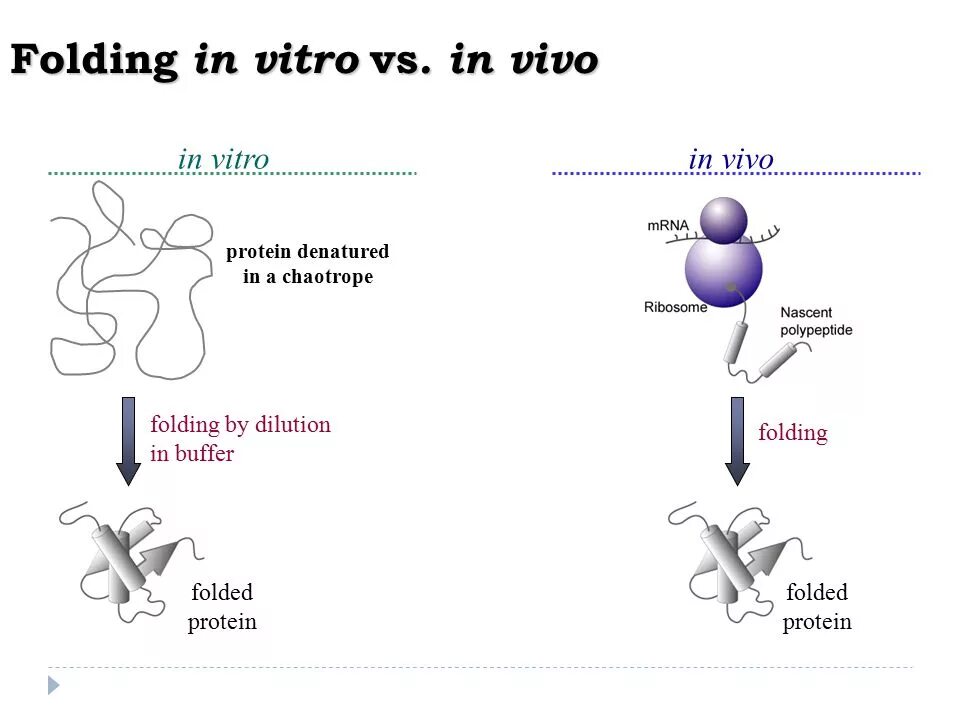 Метод диагностики in vivo. In vivo и in vitro что это такое. Методы in vivo. Метод in vivo in vitro.