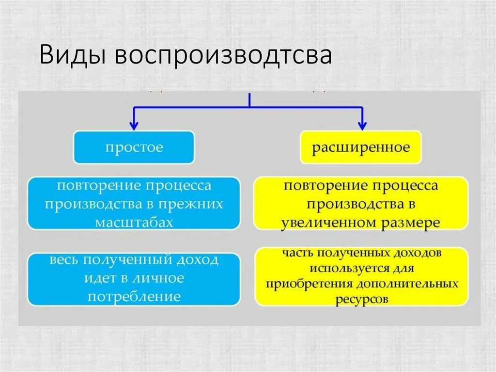 Типы расширенного воспроизводства. Простое и расширенное воспроизводство. Виды воспроизводства в экономике. Типы воспроизводства в экономике. Значение общественного производства