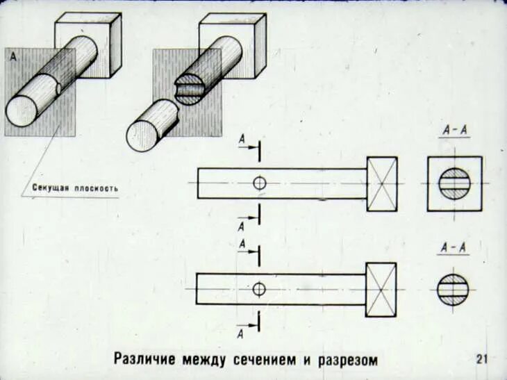 Срезы и разрезы: найдено 84 изображений