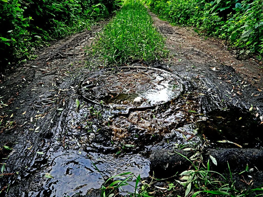 Вода из люка. Канализация люк вода. Прорыв канализационного люка. Вода из канализационного люка. Выбив крышку люка вода отнесла ее далеко