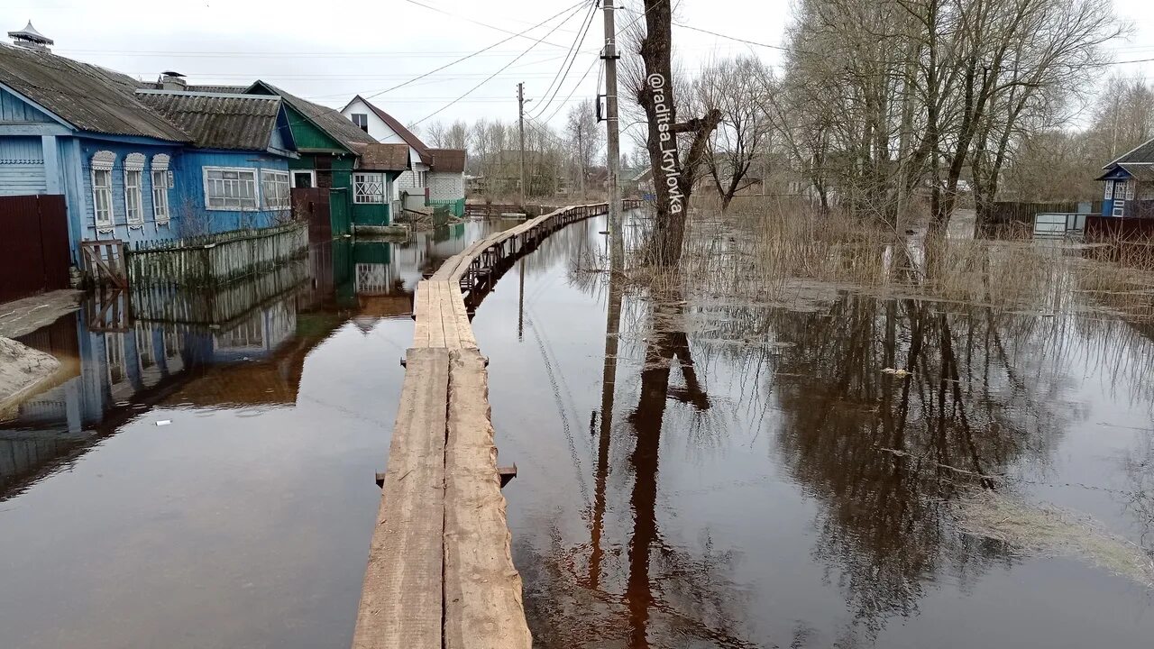 Уровень воды в десне брянск 2024 сегодня. Половодье Брянск Десна. Паводок Брянск 2023 Радица Крыловка. Затопленные улицы Вильямса в Брянске 2022. Паводок ул. Луговая Брянск.