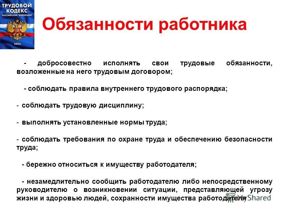 Работник не гражданин рф. Трудовое законодательство. Трудовой кодекс требования. В трудовом договоре про должностные обязанности сотрудника.