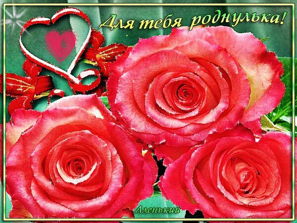 Цветы для роднульки. Смешные валентинки. Открытка тебе моя хорошая. Валентинка любимому. Ты моя роднулька.
