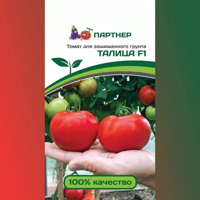 Лучшие сорта томатов фирмы партнер. Томаты талица f1. семена партнер томат мадам помпадур f1. семена томатов фирмы партнер. сорта семян томатов фирмы партнер.